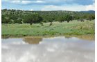 Property photo 6 - 7,320 Acres Offered in 5 Tracts